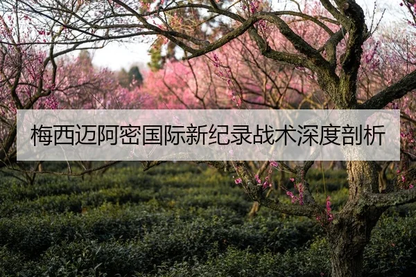 梅西迈阿密国际新纪录战术深度剖析